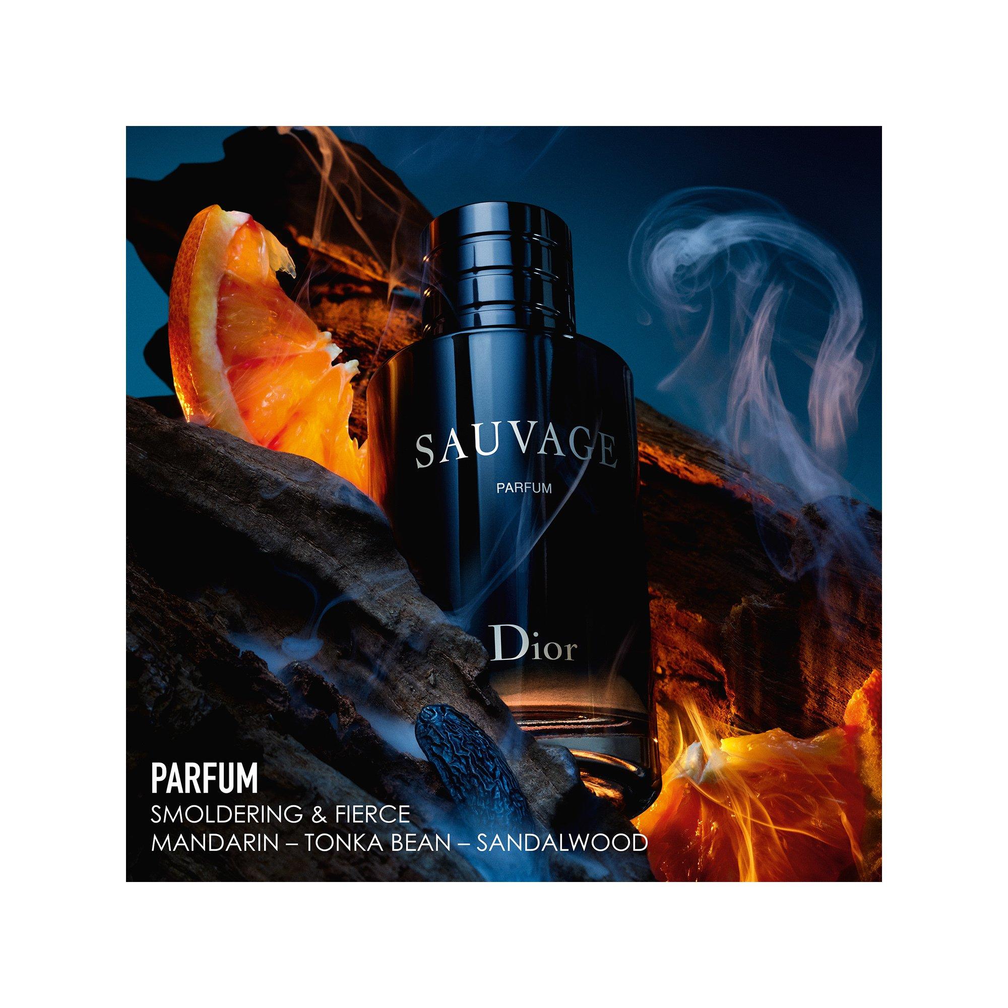 Dior Sauvage, Le Parfum  