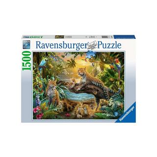Ravensburger  Puzzle Famille de léopards dans la jungle, 1500 pièces 