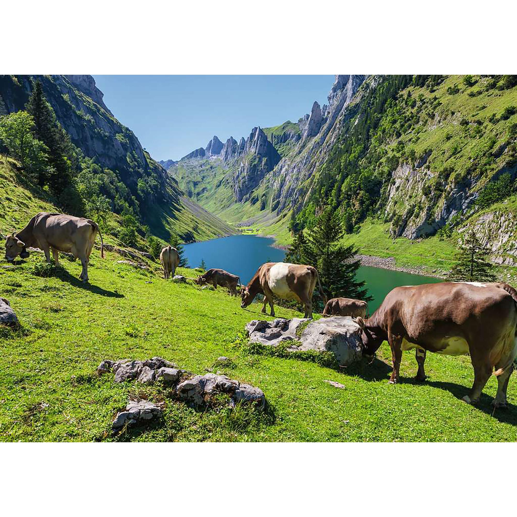 Ravensburger  Fälensee, 1000 Pièces 