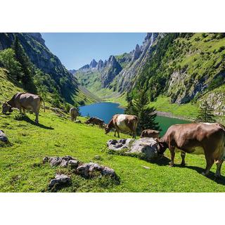 Ravensburger  Fälensee, 1000 Teile 