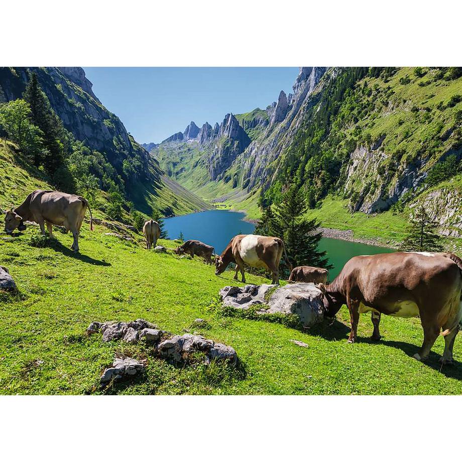 Ravensburger  Fälensee, 1000 Teile 