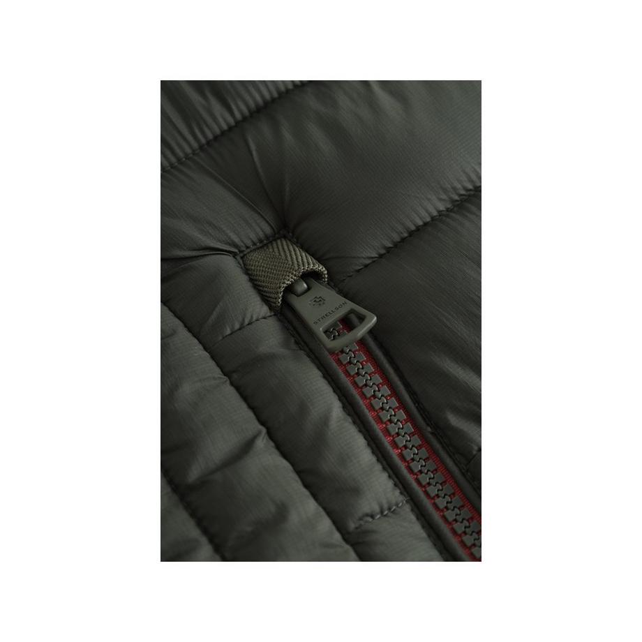 strellson Steppjacke  