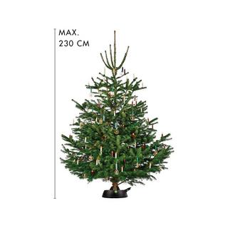  Supporto dell'albero Comfort Grip 