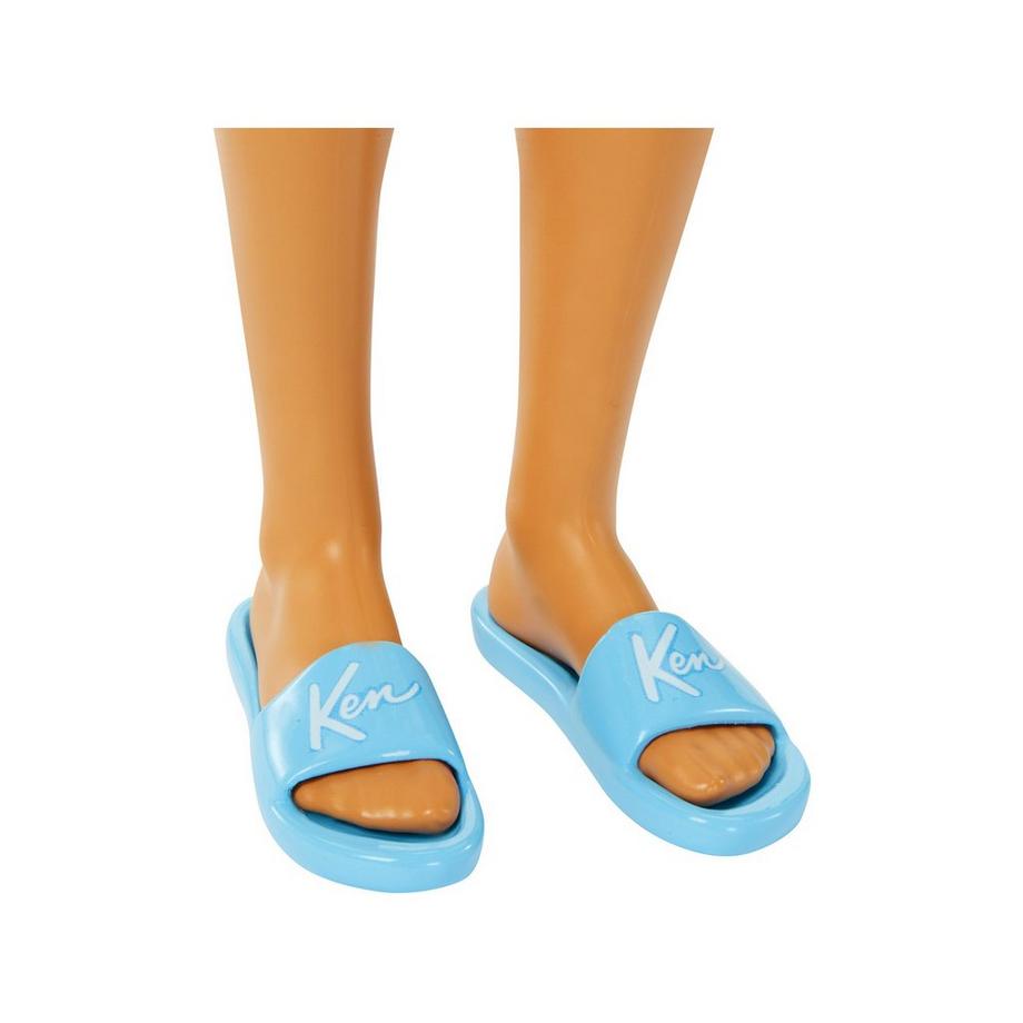 Barbie  Barbie Strandtag Ken 