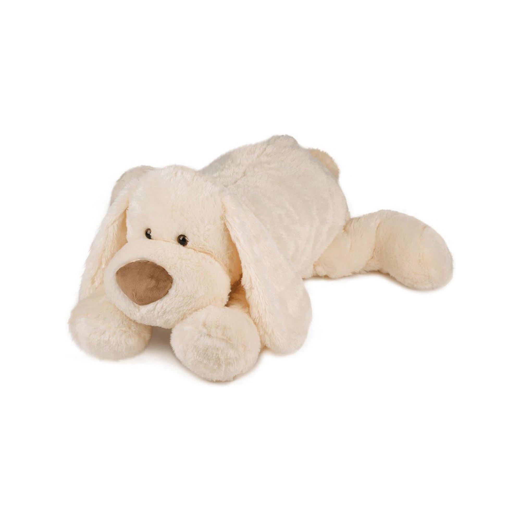 Histoire d'Ours  Hund Cookie 