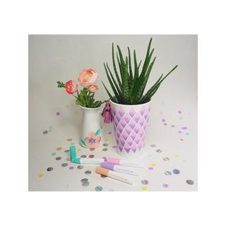 Pilot Marqueur à pigments Pintor 