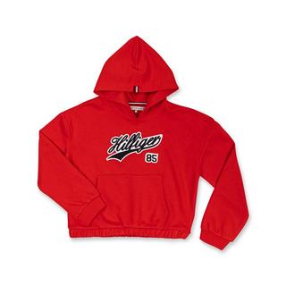 TOMMY HILFIGER HILFIGER SCRIPT HOODIE Sweat-shirt 