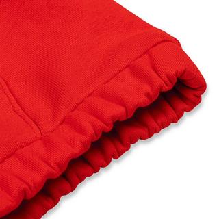 TOMMY HILFIGER HILFIGER SCRIPT HOODIE Sweat-shirt 