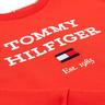 TOMMY HILFIGER TH LOGO SWEATSHIRT Sweat-shirt 
