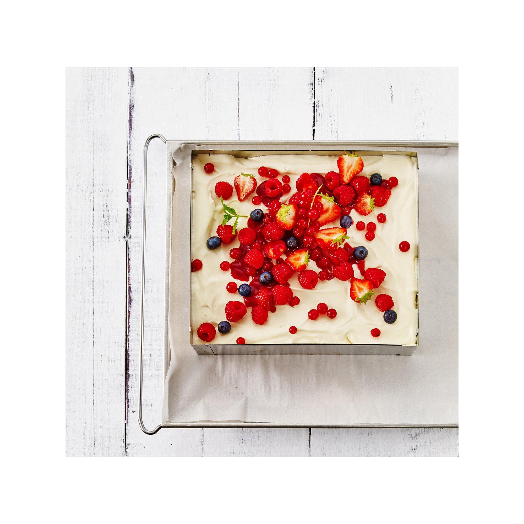 BIRKMANN Stampo per torte senza fondo allungabile Easy Baking 