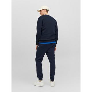JACK & JONES Gordon Bradley Sweat Pants Regular Fit  