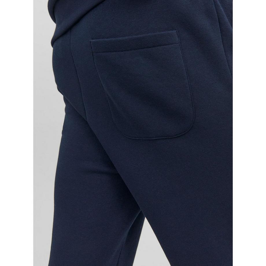 JACK & JONES Gordon Bradley Sweat Pants Regular Fit  