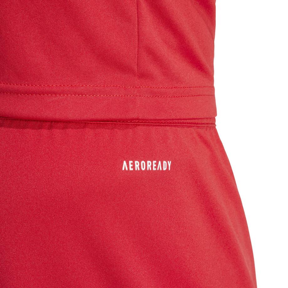 adidas FORTORE23 SHO TEPORE/WHITE Shorts 