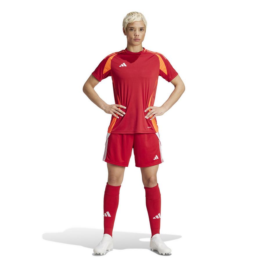 adidas TIRO24 SHO TEPORE/WHITE Shorts 