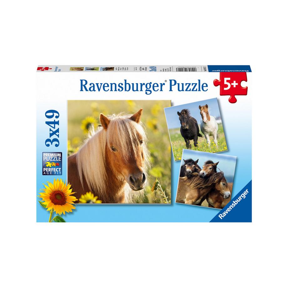 Ravensburger  Puzzle Divers, 3 x 49 Teile, Zufallsauswahl 