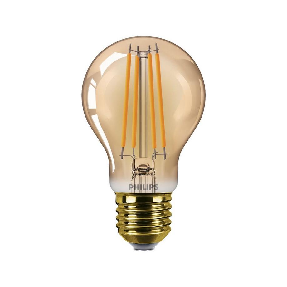 LED Glühbirne