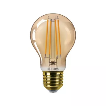 LED Glühbirne