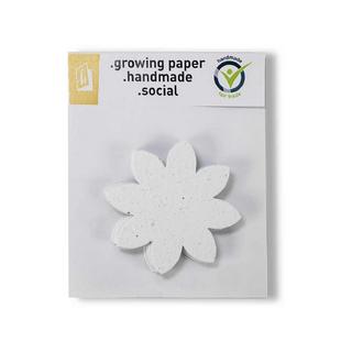 Hervorragend Samenpapier Blume 