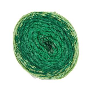 RICO-Design Fil à crochet Spin Spin dk 