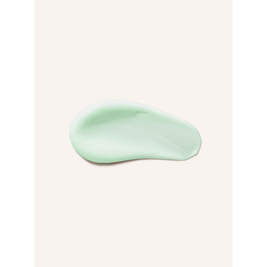 RAUSCH Schweizer Kräutern  Pflege-Conditioner 