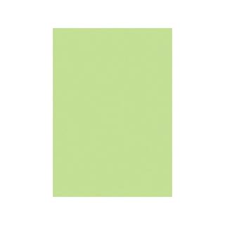 STEWO INTERNATIONAL Geschenkpapier Uni Plain 