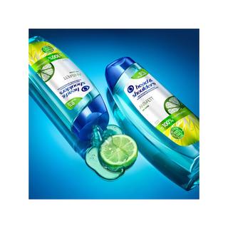 head & shoulders  Anti-Schuppen Shampoo Anti-Fett - Silikon frei 