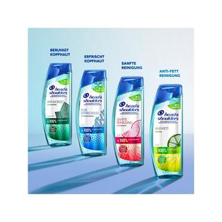 head & shoulders  Anti-Schuppen Shampoo Anti-Fett - Silikon frei 