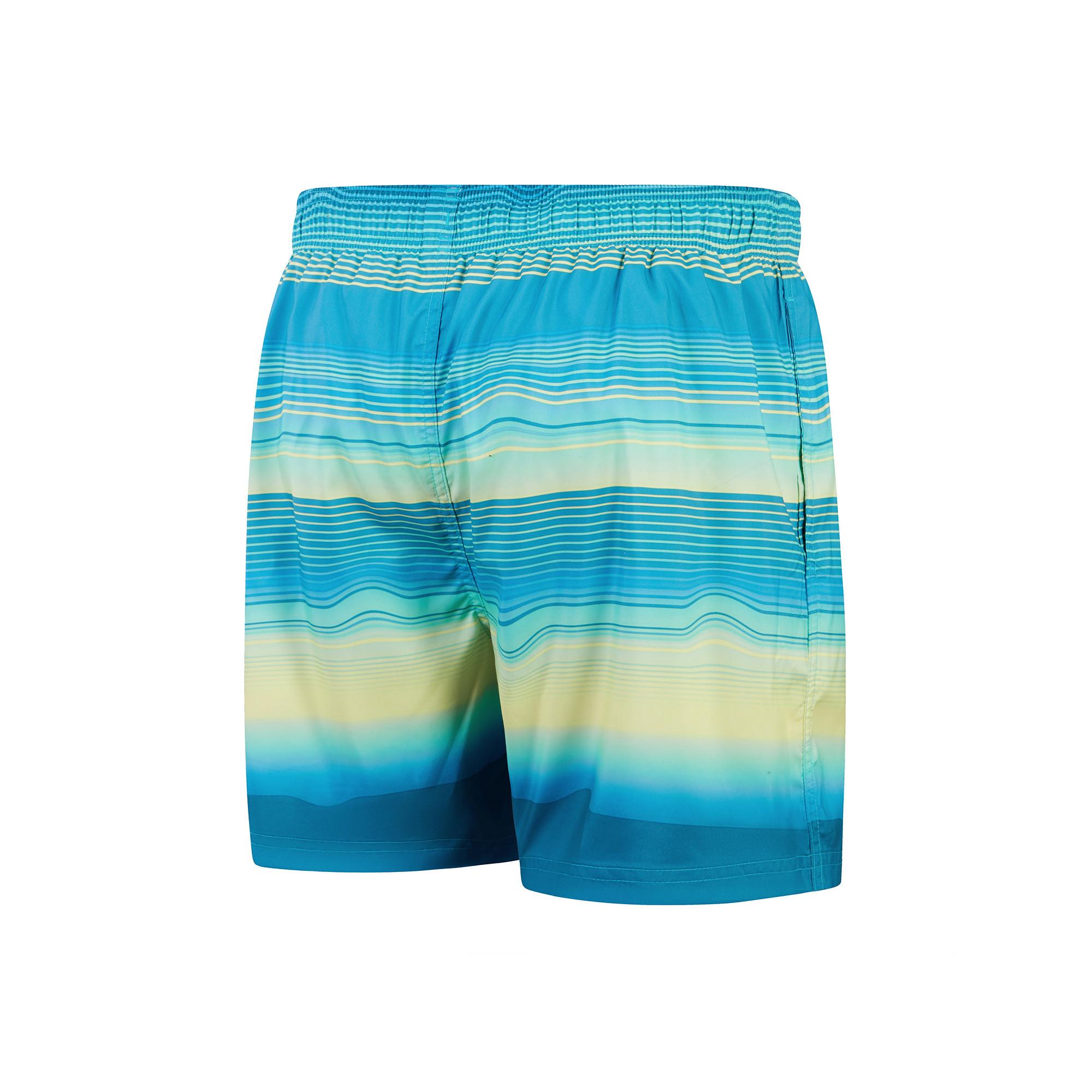 speedo Placement Leisure 16 Zoll Watershorts  