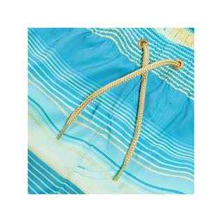 speedo Placement Leisure 16 Zoll Watershorts  