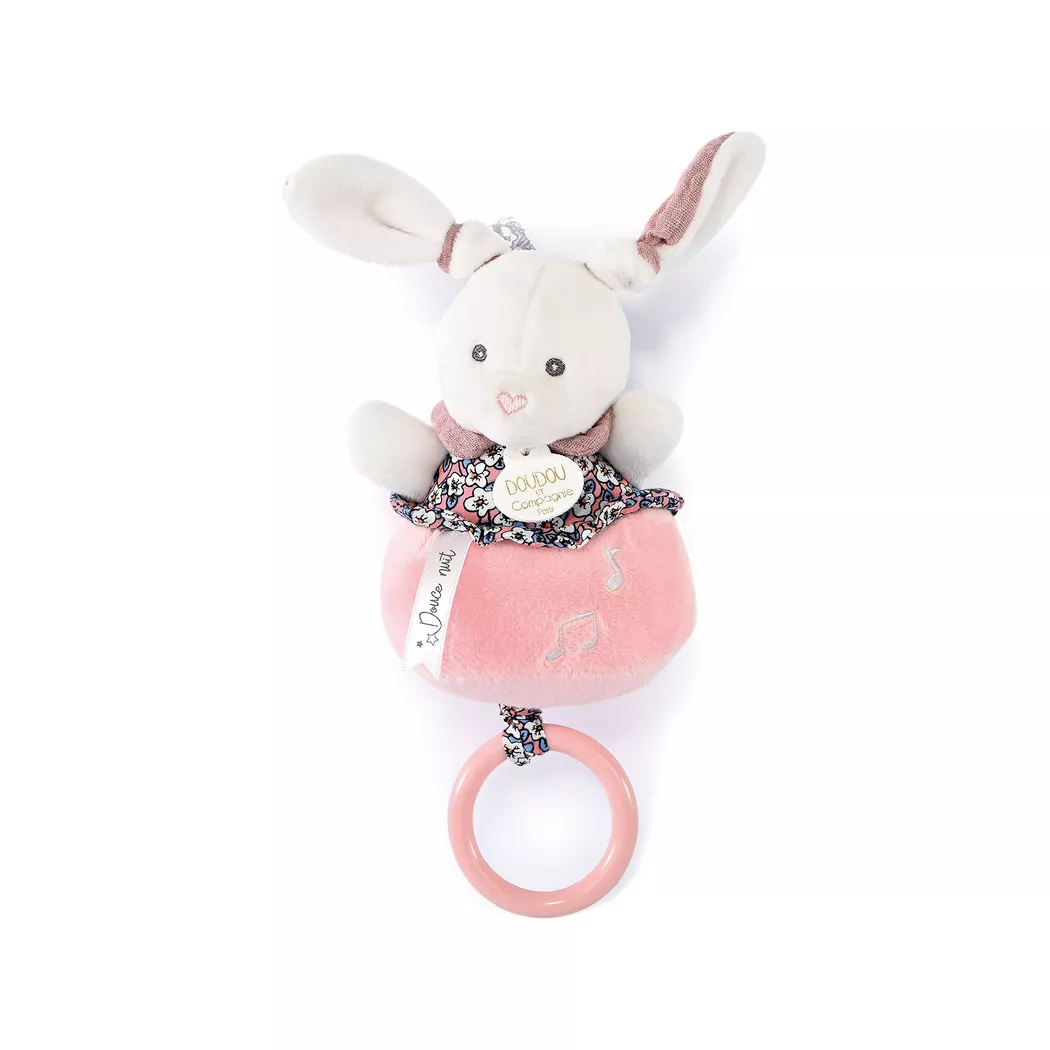 DOUDOU & COMPAGNIE - Activity Spielzeug, One Size, Multicolor