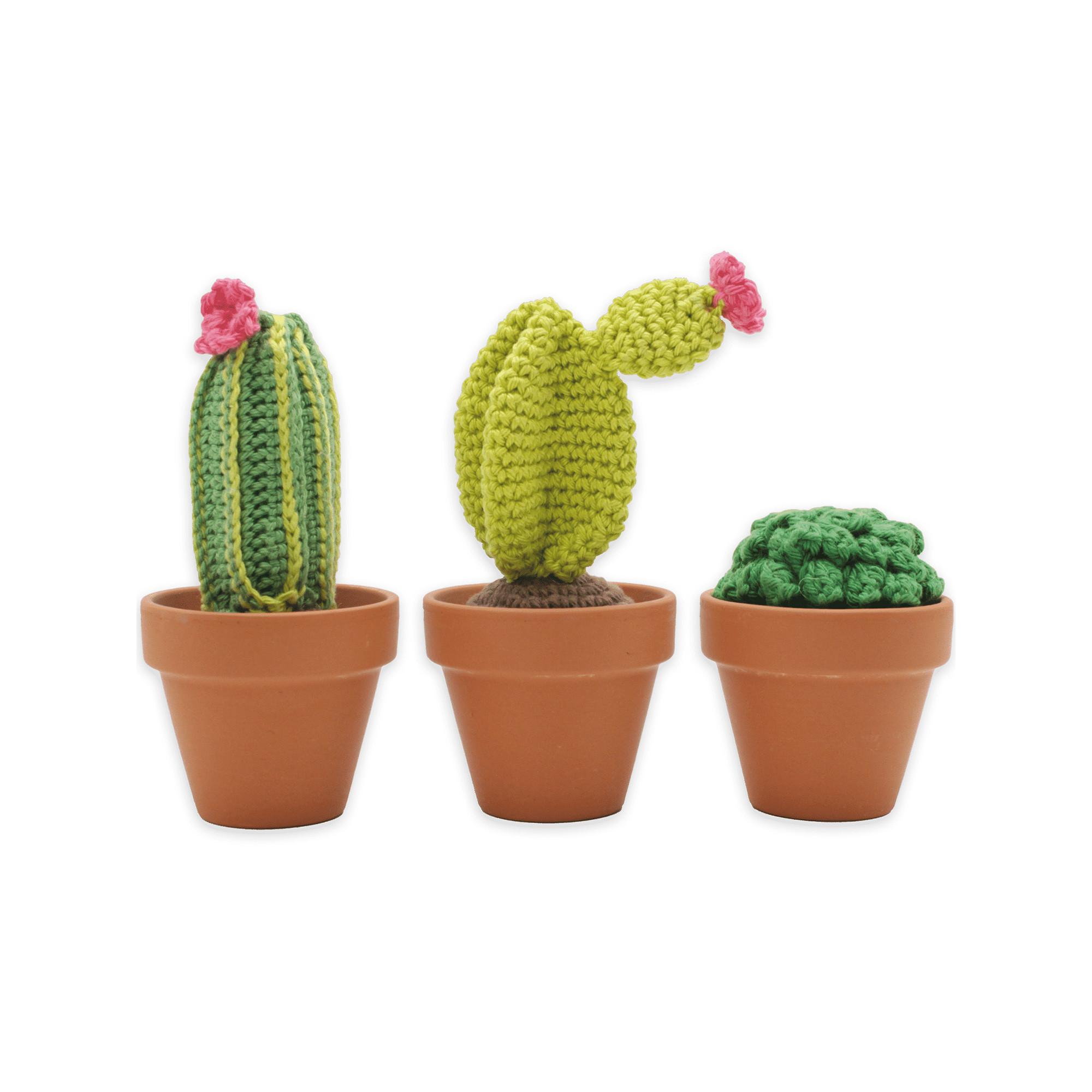 Hardicraft Set de crochet Cactus 