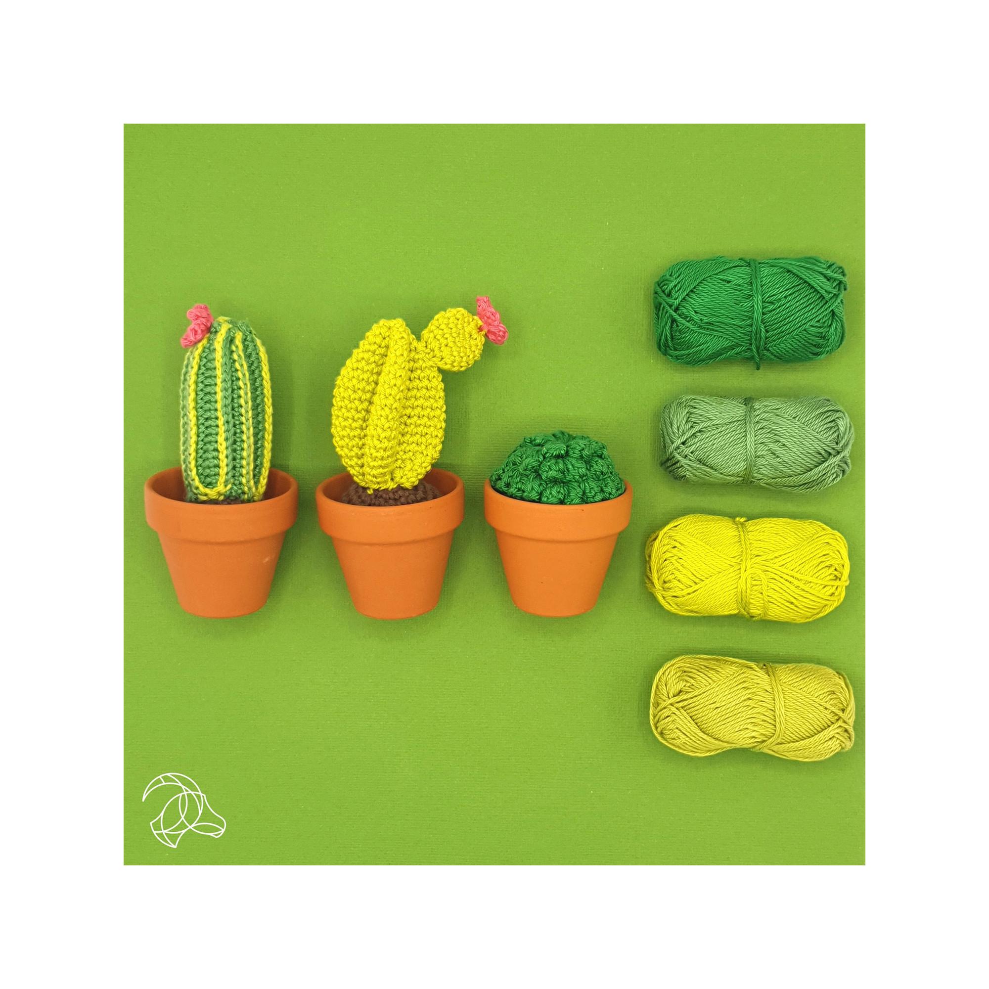 Hardicraft Set de crochet Cactus 