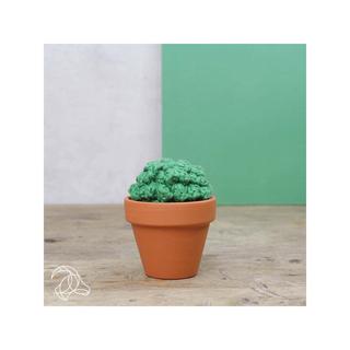 Hardicraft Set de crochet Cactus 