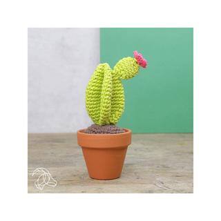 Hardicraft Set de crochet Cactus 