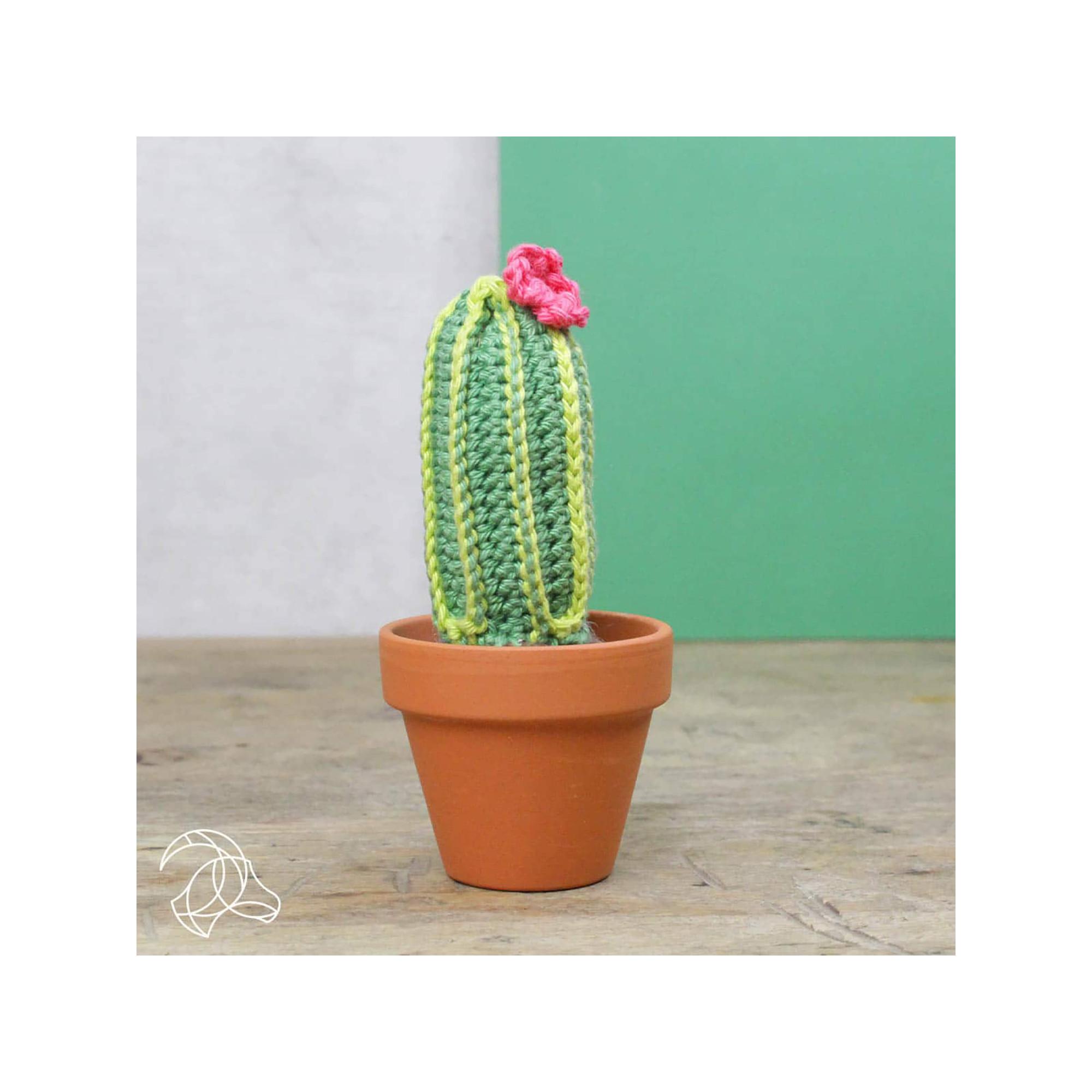 Hardicraft Set uncinetto Cactacei 