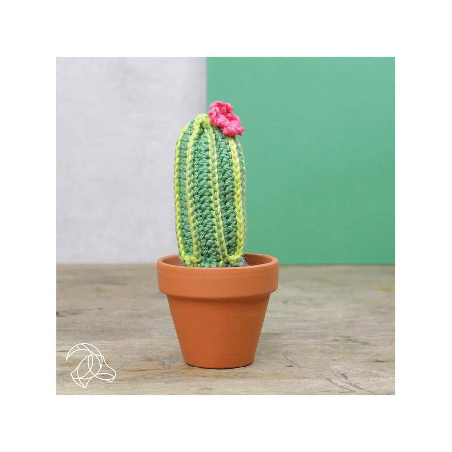 Hardicraft Häkelset Kakteen 