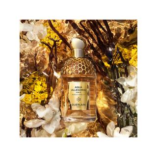 Guerlain Aqua Allegoria Forte Bosca Vanilla Eau de Parfum  