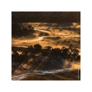 Guerlain Aqua Allegoria Forte Bosca Vanilla Eau de Parfum Refill  