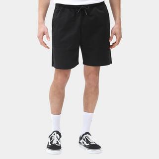 Dickies PELICAN RAPIDS DESERT SAND Shorts 