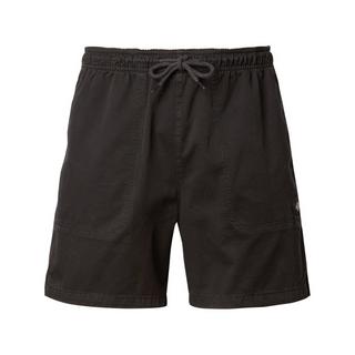 Dickies PELICAN RAPIDS DESERT SAND Shorts 