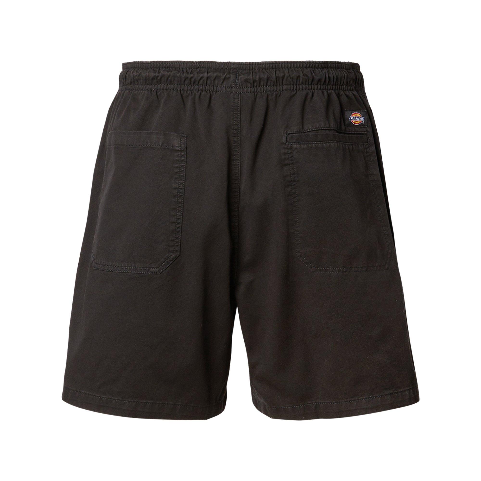 Dickies PELICAN RAPIDS DESERT SAND Shorts 