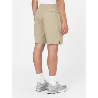 Dickies PELICAN RAPIDS DESERT SAND Shorts 