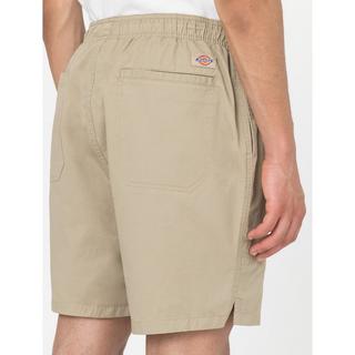 Dickies PELICAN RAPIDS DESERT SAND Shorts 