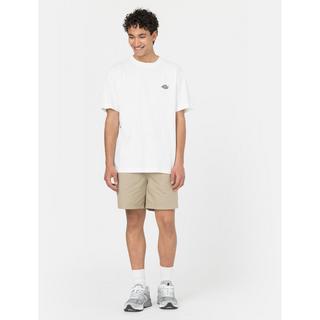 Dickies PELICAN RAPIDS DESERT SAND Shorts 