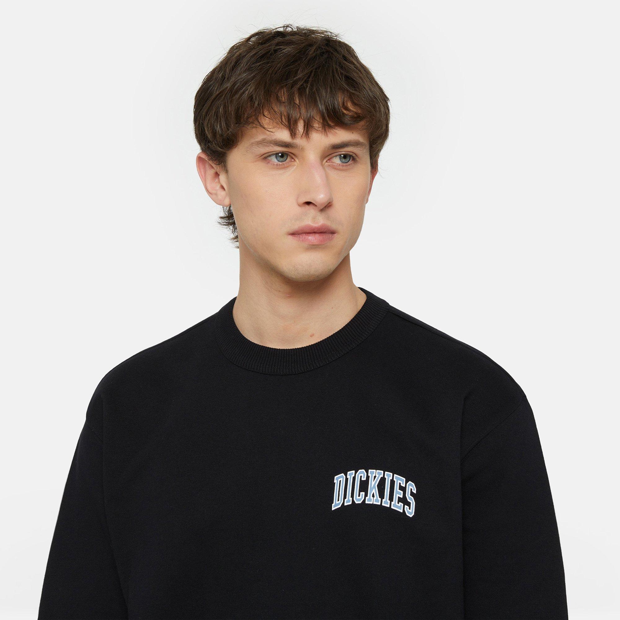 Dickies AITKIN CHEST SWEATSHIRT  BLK/CORONET BLE T-Shirt 