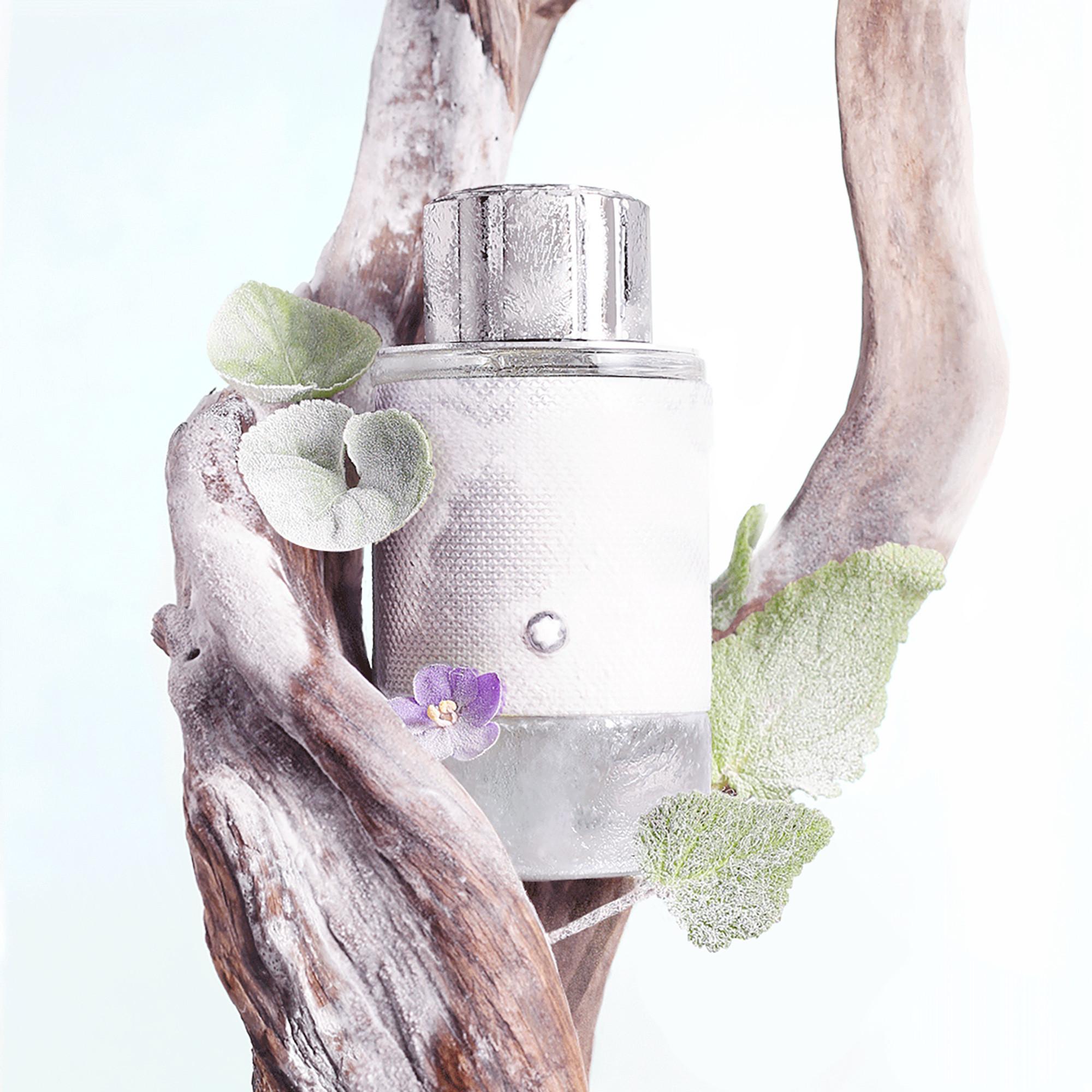 MONTBLANC Explorer Platinum Eau de Parfum  