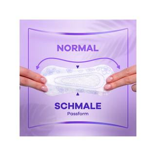 always  Slipeinlage Daily Fresh Flexistyle Normal ohne Duft BigPack 