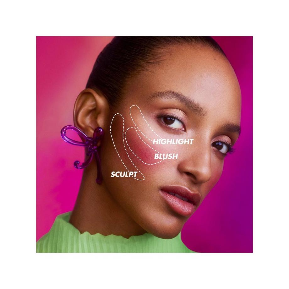   Artist Face Powders - Blush 