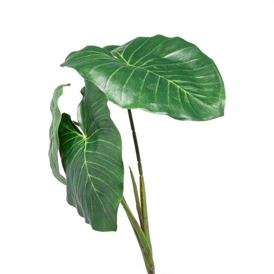 Manor Plante artificielle Caldium Zweig 