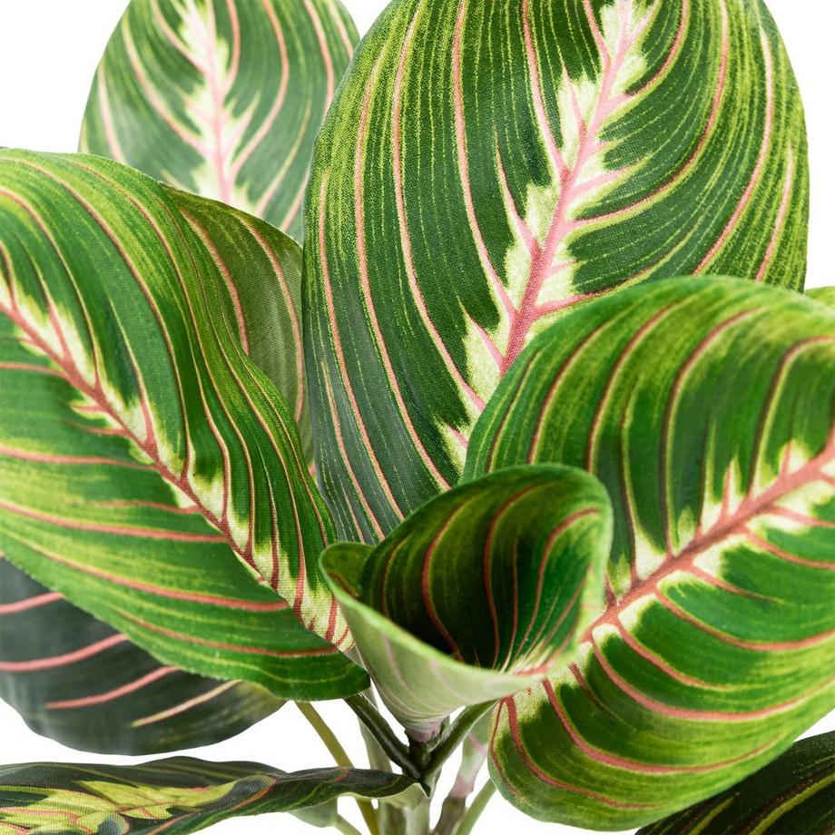 Manor Plante artificielle Maranta Busch 